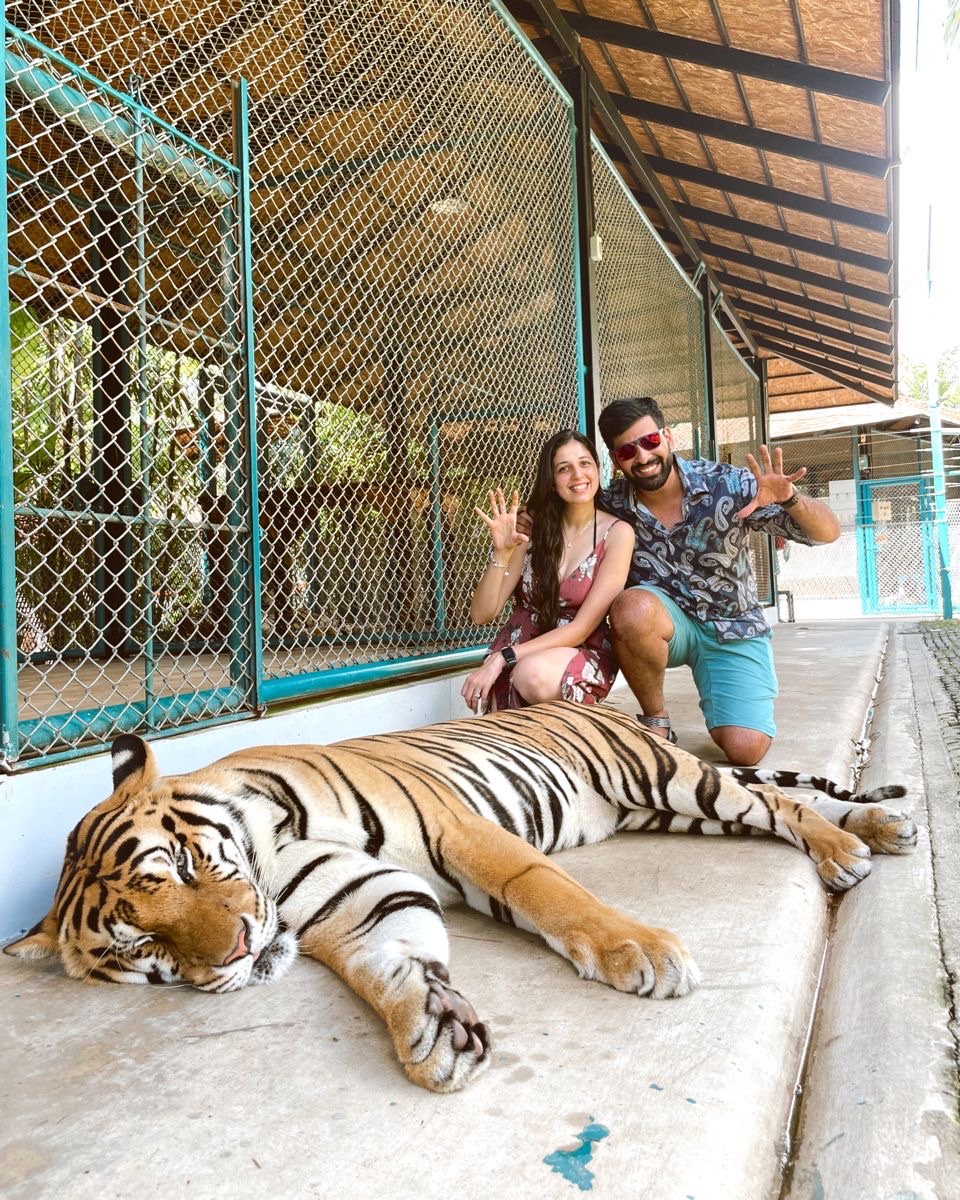 Tiger Kingdom
